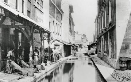 Walk to discover the Bièvre