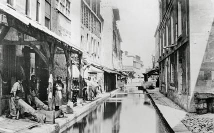 Balade à la découverte de la Bièvre