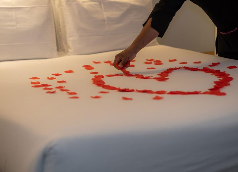 Hôtel Urban Bivouac - Bespoke services